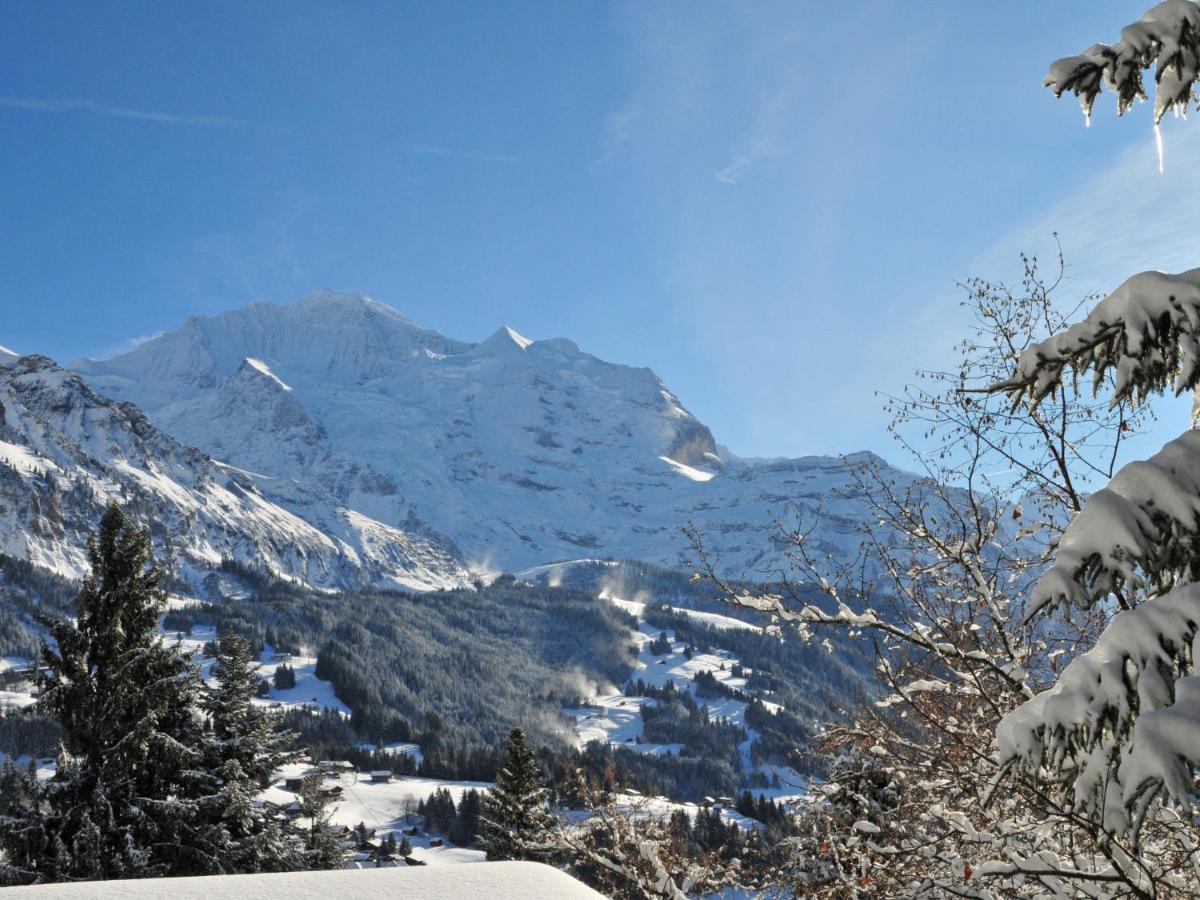 Apartment Roossihuus By Interhome Wengen Exterior photo